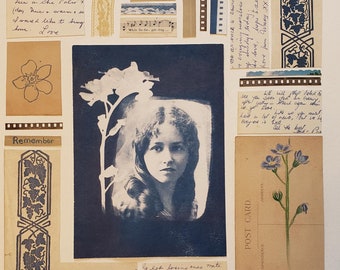 Forget Me Not