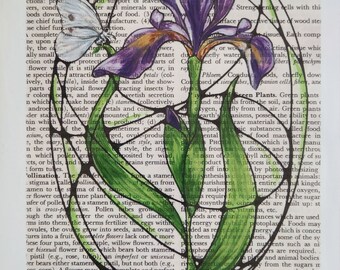 Iris in Springtime- Signed Giclee Print