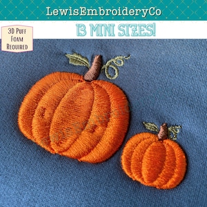 May include: Two embroidered pumpkins in orange on a blue fabric background. The larger pumpkin is on the left and the smaller pumpkin is on the right. The text "13 MINI SIZES!" is at the top of the image.