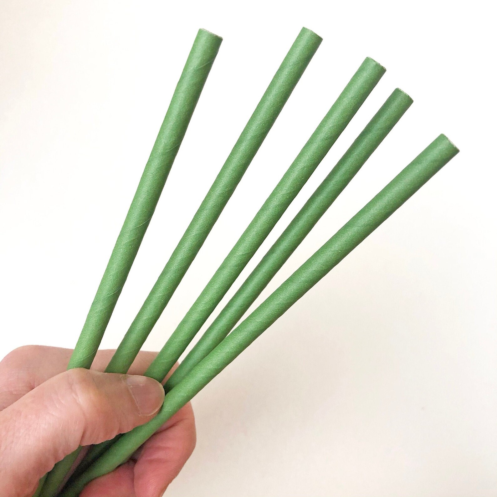 Flower Stems green paper eco straws Etsy