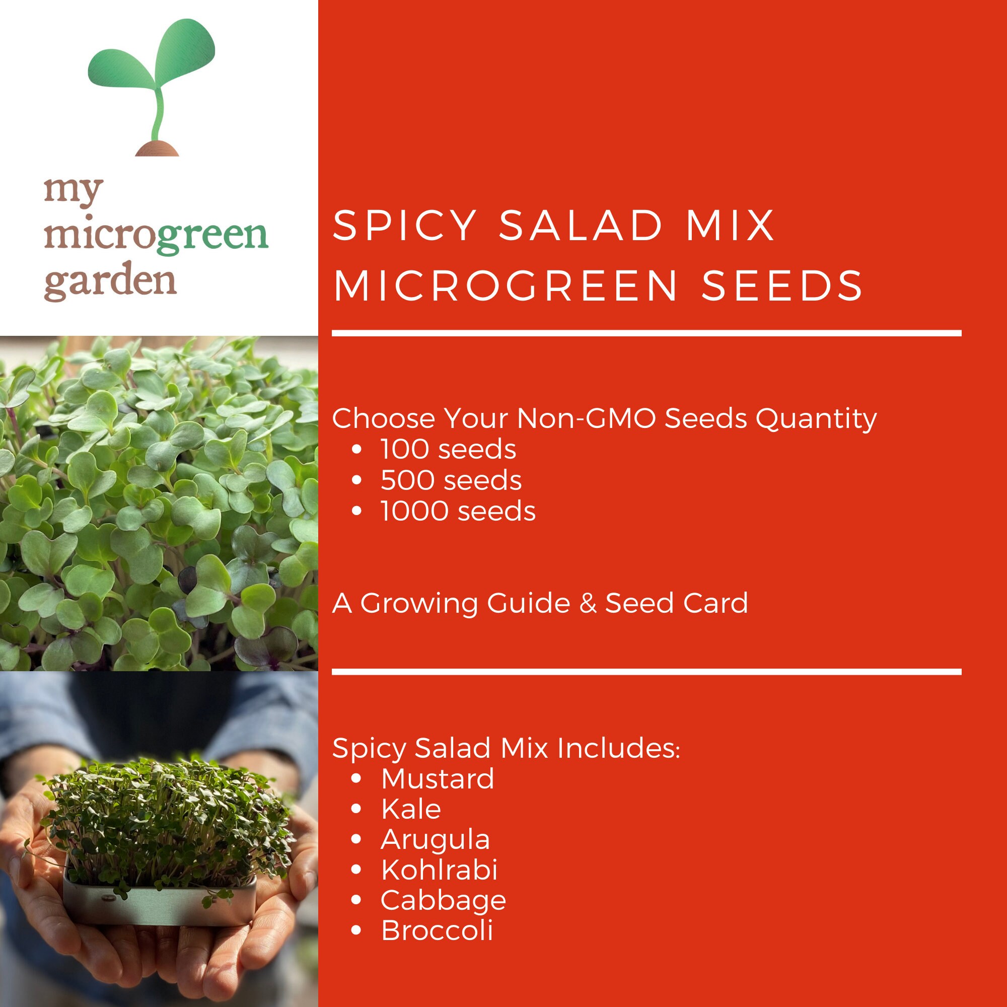 NonGMO Spicy Salad Mix Microgreen Seeds Easy To Grow In 1 Etsy