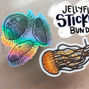 Jellyfish Sticker Pack of 2, moon jellyfish, pacific sea nettle, jellyfish art, ocean art
