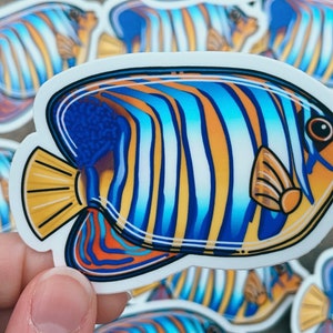 Royal Angelfish Sticker 3in, Tropical Fish, Marine Biology, Ocean Art