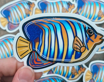 Royal Angelfish Sticker 3in, Tropical Fish, Marine Biology, Ocean Art