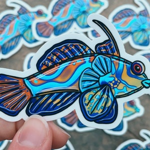 Mandarinfish Sticker 3in, Tropical Fish, Ocean Art, Marine Biology