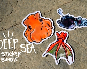 Deep Sea Animal Sticker Pack Anglerfish, Dumbo Octopus, Vampire Squid, 3”x3”