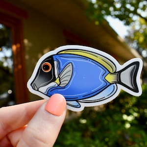 Powder Blue Tang Sticker