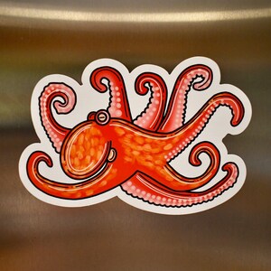 Octopus Magnet