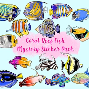 Coral Reef Fish Mystery Sticker Pack