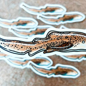 Zebra Shark Sticker 3in