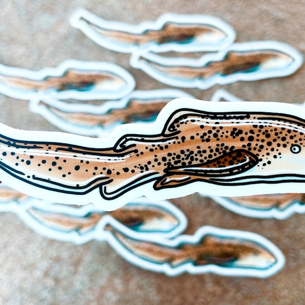 Zebra Shark Sticker 3in