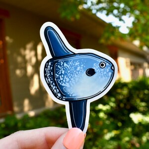 Mola Mola Sticker