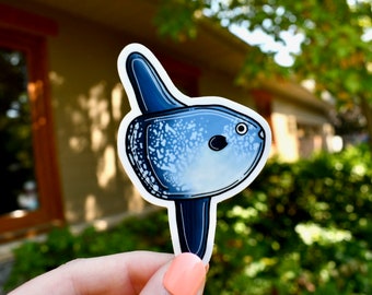 Sticker Mola Mola