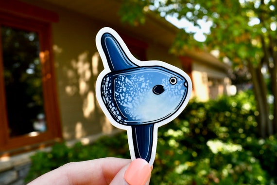 Mola Mola Sticker