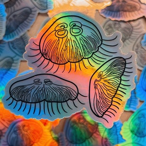 Moon Jellyfish holographic sticker 3in, Aurelia aurita, ocean sticker, jellyfish art