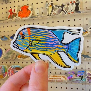 May include: A vibrant fish sticker with blue, yellow, orange, and pink hues. The sticker has a white border and is held in front of a display of other stickers. The fish design features stripes and fins.