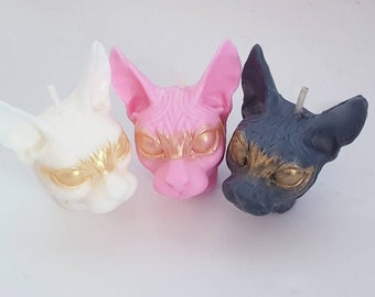 Gorgeous non scented black Sphynx cat candle witchy pagan pentagon
