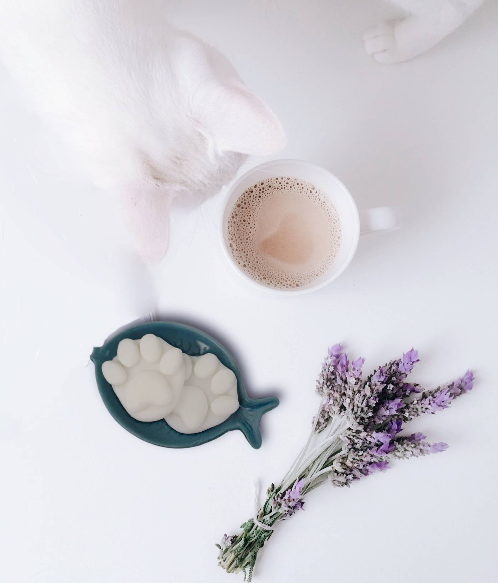 Vegan wax melt cat pawpet safe Etsy