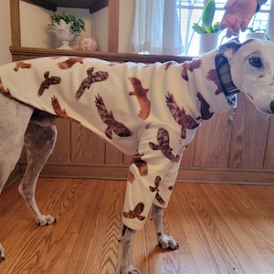 BOYS prints 2 Legged greyhound nightshirt