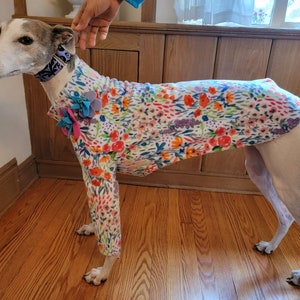 GIRLS floral 2 legged greyhound nightshirt