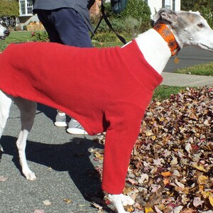 Solid color (BRIGHT) 2 legged greyhound nightshirt