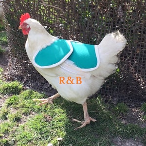 CHICKEN SADDLE | Chicken Apron| Hen protector | Poulet | Henchen | Chicken WINGS  Protection | Waterproof Canvas| Bantam |  S M L Cockerel