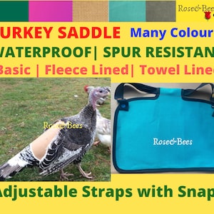Op de afbeelding: Een turquoise kalkoensaddle met verstelbare banden en drukknopen. De saddle is waterdicht en sporenbestendig. Het is gevoerd met fleece en een handdoek. De tekst "Rose Bees" is op de saddle gedrukt. De saddle is afgebeeld op een kalkoen.