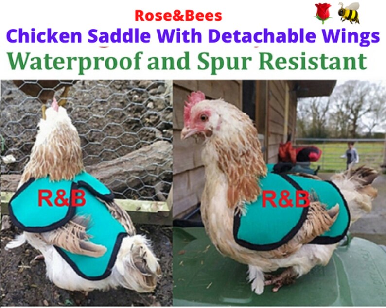 CHICKEN SADDLE Chicken Apron Hen protector Waterproof Etsy