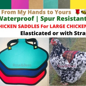 CHICKEN SADDLE | Hen Apron | WIDE | Large Poultry | Waterproof | Egg Layer | Elasticated Jacket | Hen Feather Protector | Bantams orpington
