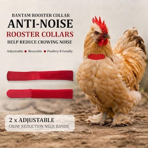 May include: Two red adjustable anti-noise rooster collars for poultry. The text reads BANTAM ROOSTER COLLAR ANTI-NOISE ROOSTER COLLARS HELP REDUCE CROWING NOISE Adjustable Reusable Poultry-Friendly 2 x ADJUSTABLE CROW REDUCTION NECK BANDS.