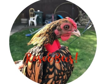 Crow Reduction Webbing Collar Handmade Quiet Rooster Gobble Hobblers Turkey Toms Cock Anti Noise Band Neck Shamos bantam Maran Polish Skie