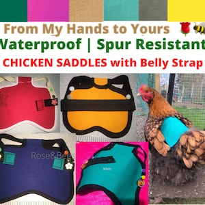 Chicken Saddle | With Belly Strap | Chicken Apron | Hen protector | Waterproof | snaps | POULET PROTECTION | Canvas Bantam Cockerel Cotton
