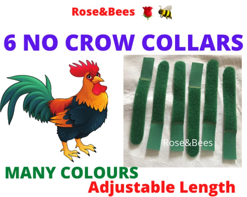 6 X 18CM Cockerel Rooster Quiet Collar No Crow Anti Noise Neck Etsy