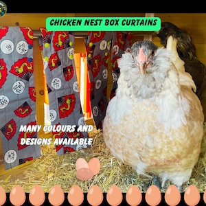 Könnte beinhalten: Ein Huhn sitzt in einem Nistkasten mit einem grauen und roten gemusterten Vorhang im Hintergrund. Der Text "CHICKEN NEST BOX CURTAINS" befindet sich über dem Huhn. Der Text "MANY COLORS AND DESIGNS AVAILABLE" befindet sich unter dem Huhn. Der Text "Rosee's Bees Ltd. Saddlery and Crafts" befindet sich in der unteren rechten Ecke des Bildes.