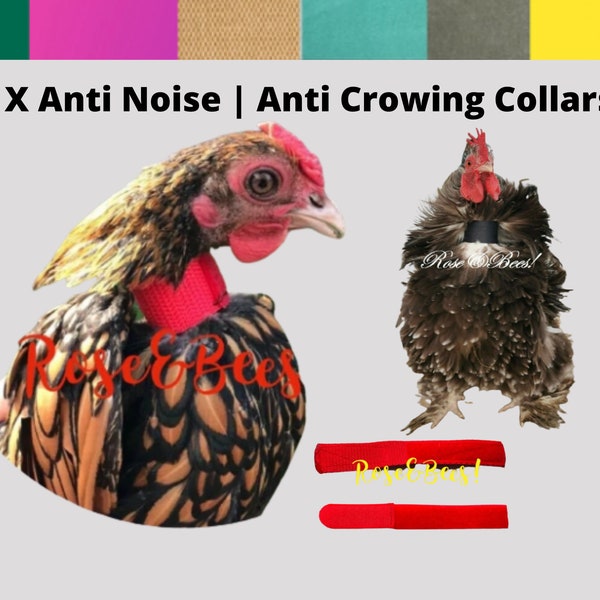 2 X Standard Low Crow Noise Reduction Collar Crow Quiet Rooster Cockerel Band Neck Bantam Silkie RIR SUSSEX Bluebells Backyard Farm Chicken