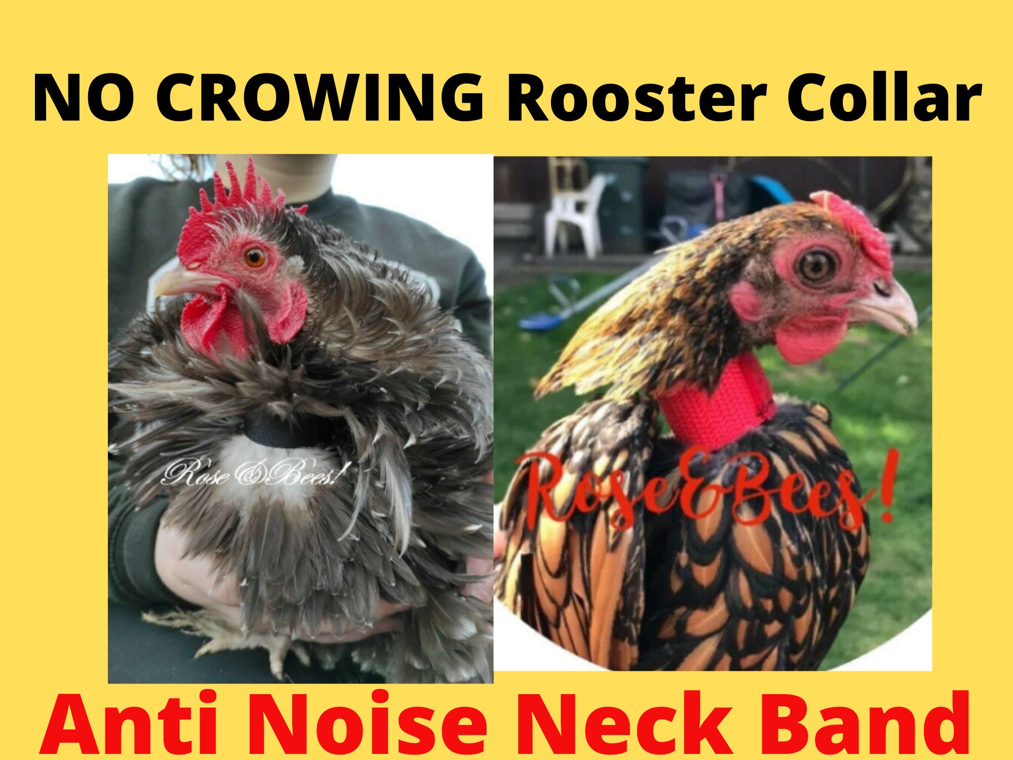 Rooster Collar for sale Only 2 left at 75