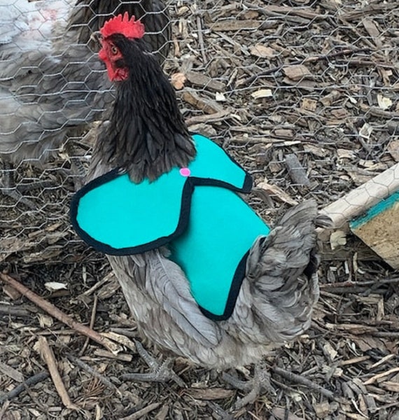 Chicken Saddle Hen Apron With Quilted Lining Elastic Straps For