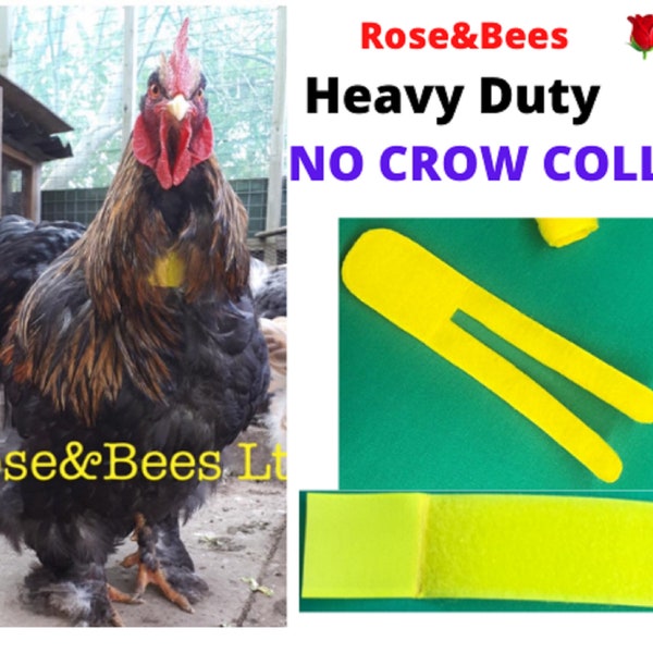 ROOSTER CROW Neck BAND | Cockerel Collar | Anti Noise Rooster Aid | Crow Band | Quiet Rooster | Crowing Poultry |  No Loud Rooster Turkey