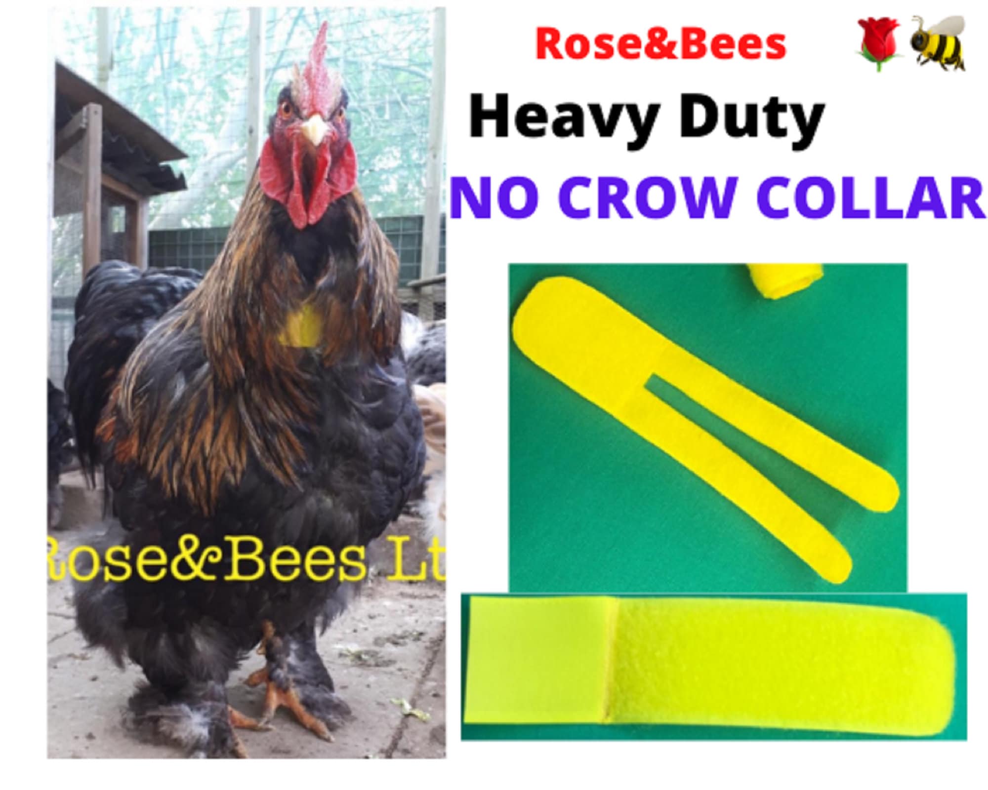 ROOSTER CROW Neck BAND Cockerel Collar Anti Noise Rooster Etsy