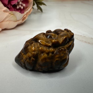 Mini Money Toad in Tiger-Eye Master Carved | Pocket size