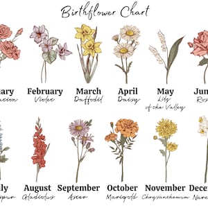 May include: A birthflower chart featuring hand-drawn illustrations of various flowers, each representing a month of the year. The chart includes the names of the flowers and the months they represent, such as Carnation for January and Rose for June.