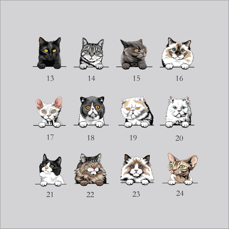 Personlig kattanteckningsbok: Anpassad kattfotodagbok, personlig kattdagbok med din älskade katts bild, kattälskarens drömdagbok bild 4