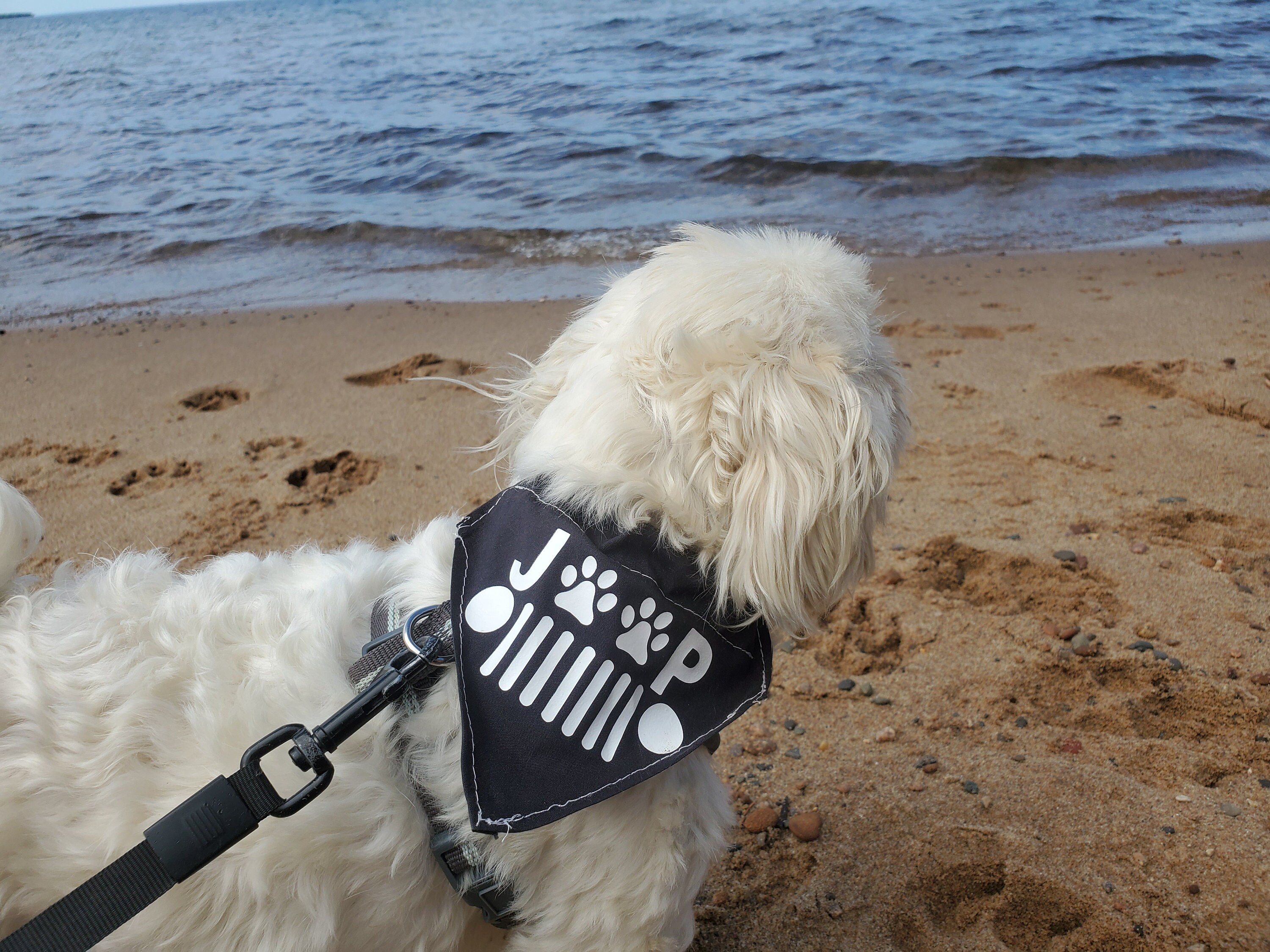 Jeep Grill Dog Bandana/ Jeep Dog Bandana/ Over the Collar Etsy UK