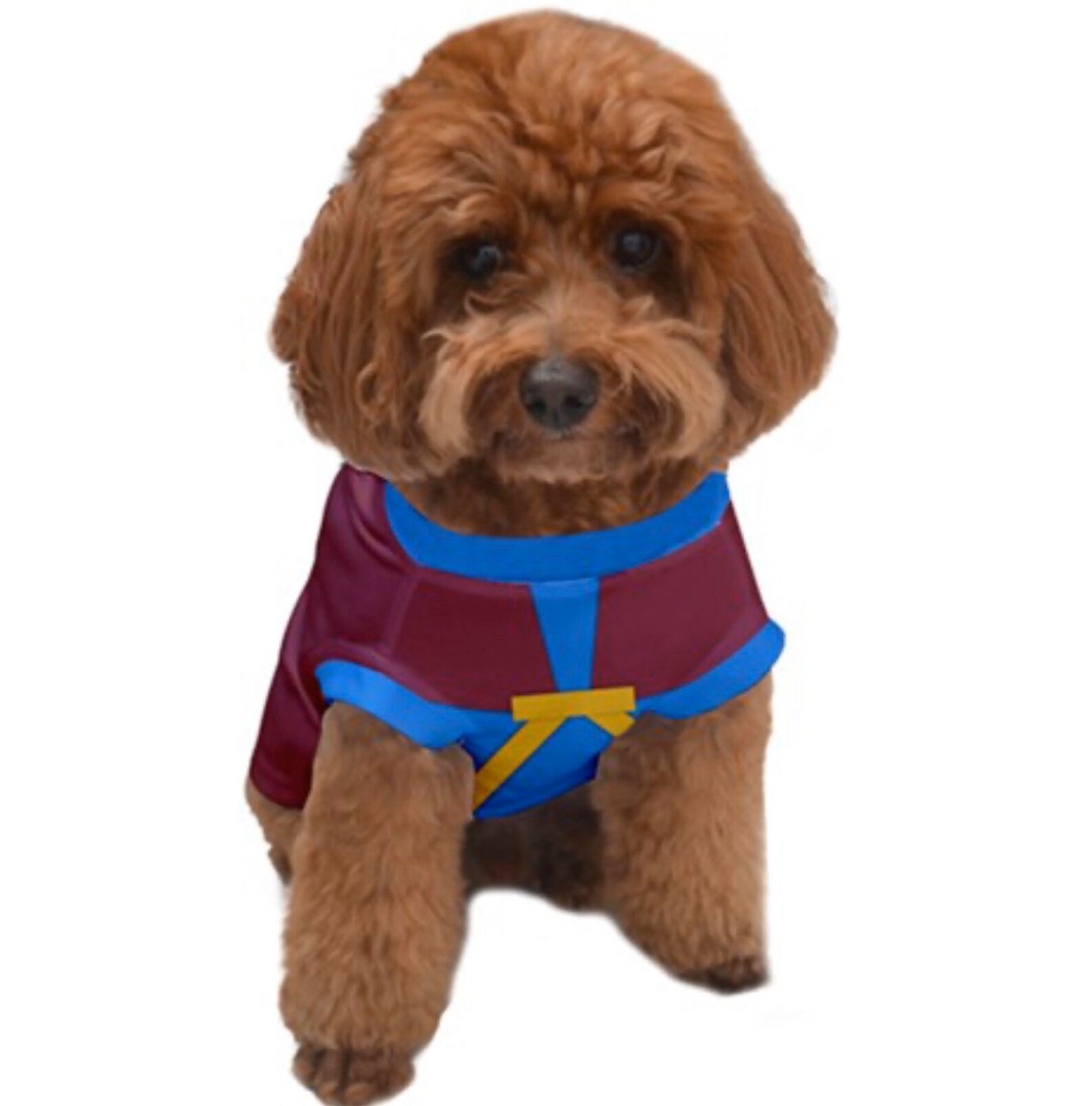 Prince Charming Dog Costume DOG SWEATER Costume for Dog Etsy UK