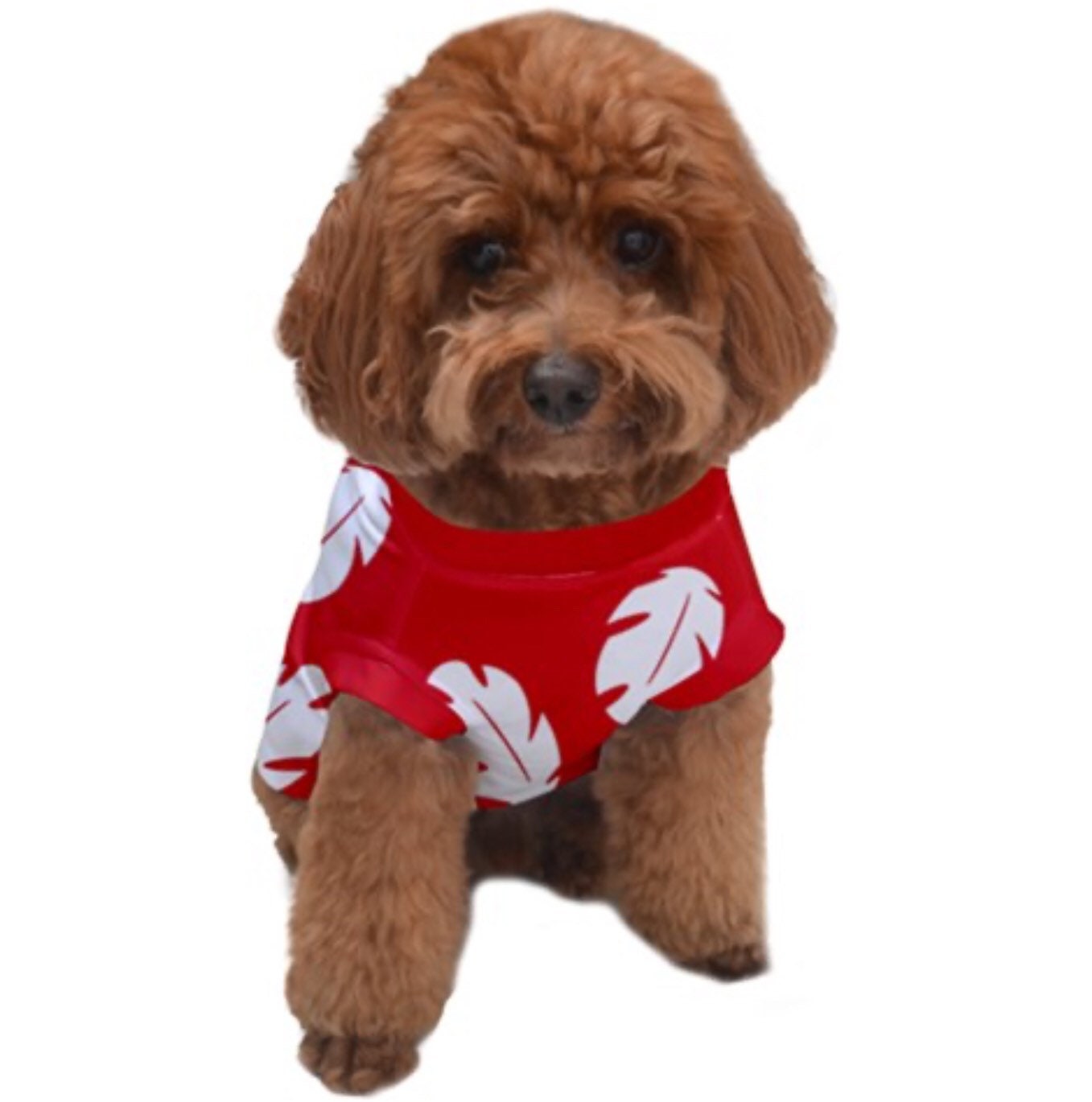 lilo dog costume
