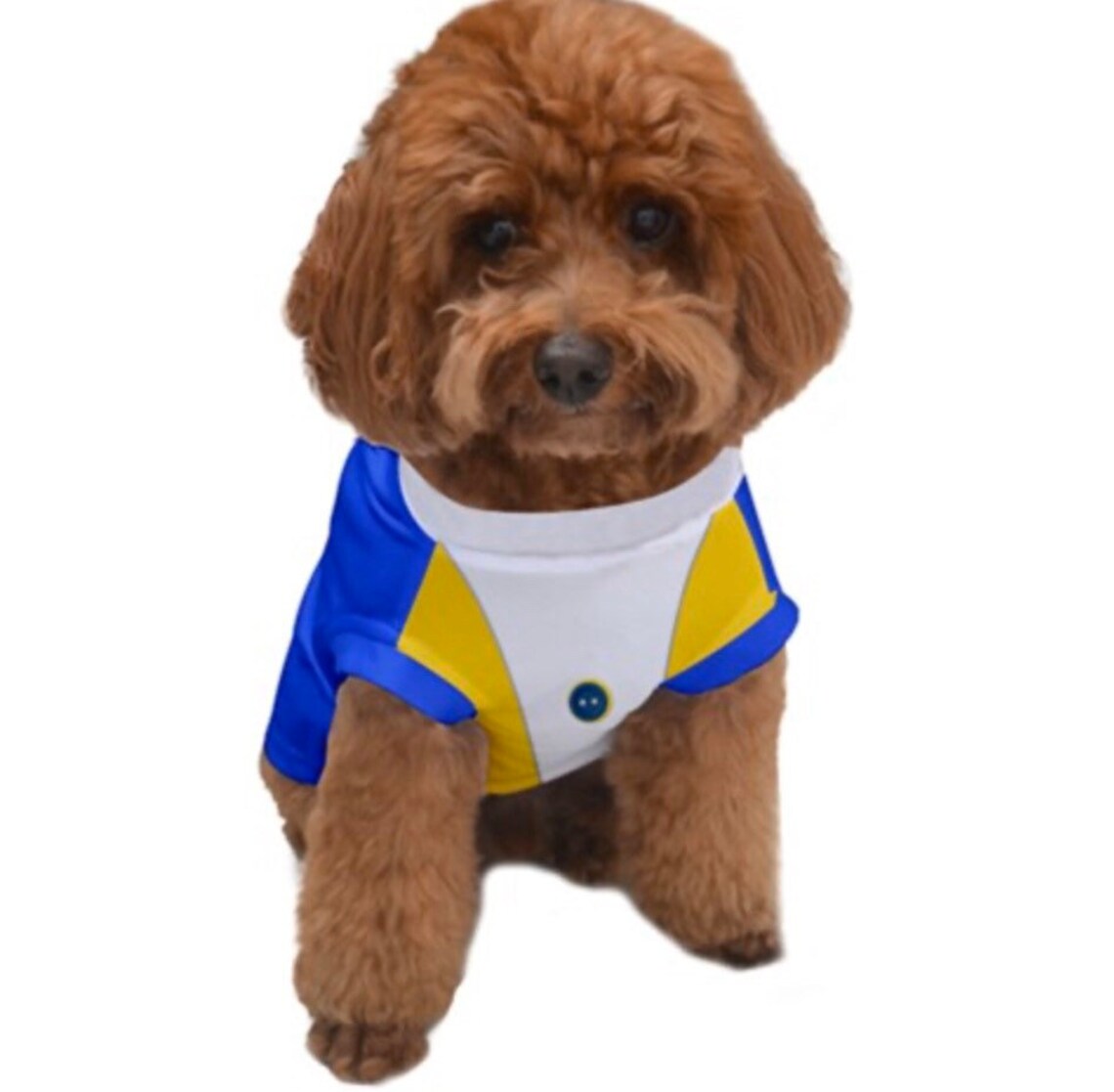 Beauty and the Beast Dog Costume DOG SWEATER Costume for Etsy