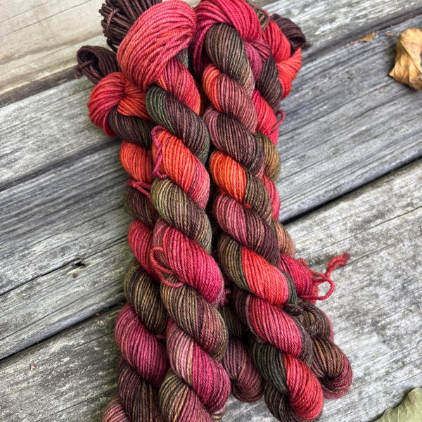 My Favorite Season Hand Dyed Sock Mini Skein, SW Merino and Recycled Nylon, 20gr