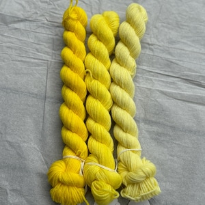 Pu&ograve; includere: Tre gomitoli di filato tinto a mano in tonalit&agrave; di giallo. I gomitoli sono etichettati "Mais", "Giallo morbido" e "Sole".