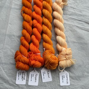 Pu&ograve; includere: Quattro gomitoli di filato in tonalit&agrave; arancio e crema. Il filato &egrave; etichettato "Creamside", "Butternut", "Pumpkin" e "Spiced Pumpkin".