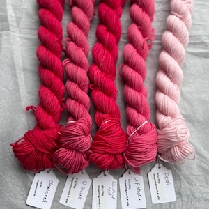 Pu&ograve; includere: Sei gomitoli di filato per calze tinto a mano in tonalit&agrave; di rosa e rosso. I gomitoli sono etichettati con i nomi "Petal", "Lipstick", "Washed Red", "Heart" e "Classic Red".